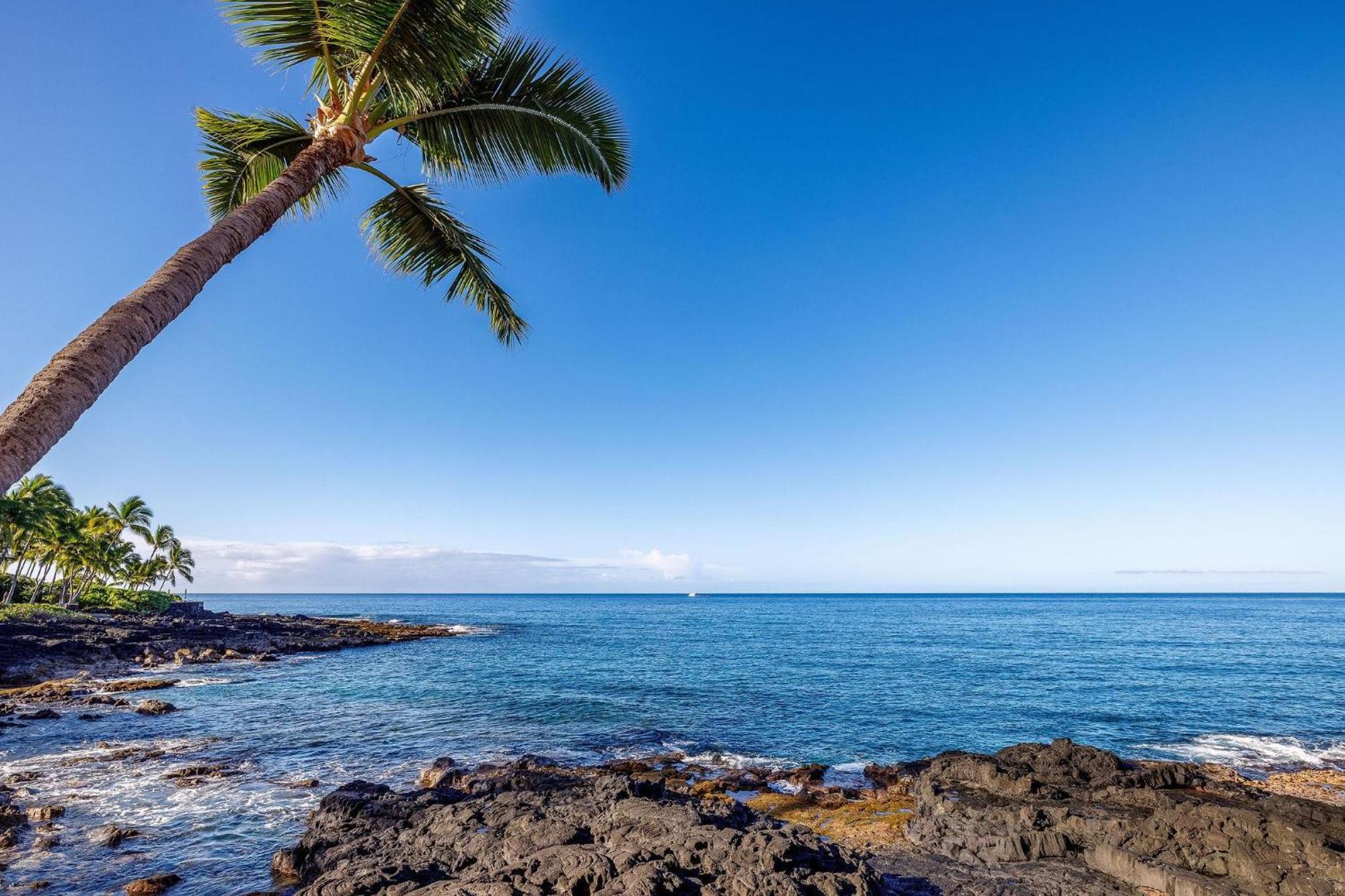 Kona Makai 3-203 Villa Kailua-Kona Dış mekan fotoğraf